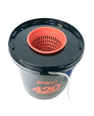 420 DWC Sistem 10 litre