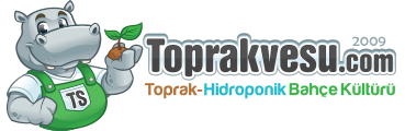 Toprakvesu.com
